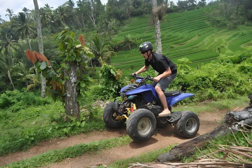 A person riding a blue ATV on a dirt path surrounded by lush greenery and palm trees. 2