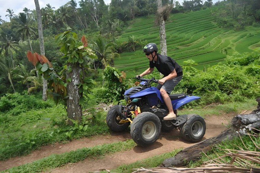 A person riding a blue ATV on a dirt path surrounded by lush greenery and palm trees. 3