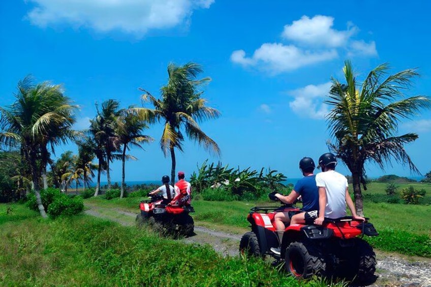 Two people riding an ATV on a path with palm trees and a clear sky. 4