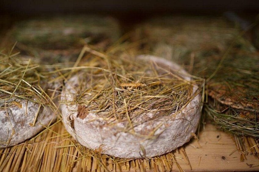 Paris Art of Pairing Cheese and Wine Tasting in a Cheese Cellar 2