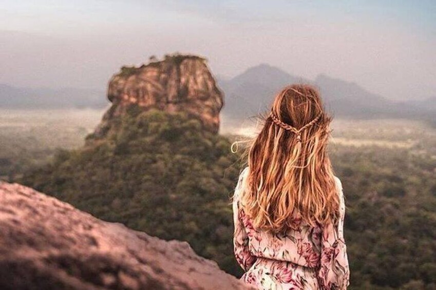 A person standing on a rock with a view of a mountain and forest. 3