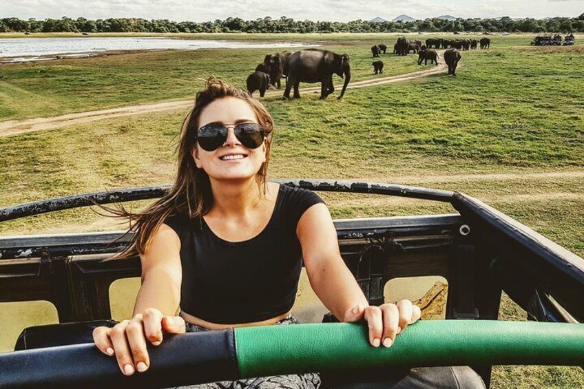 A person in a safari vehicle with elephants in the background. 1