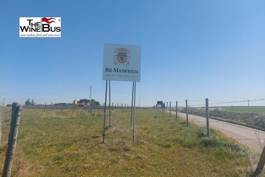 A sign for Re Manfredi, a winery, with a fence and a clear sky in the background. 5