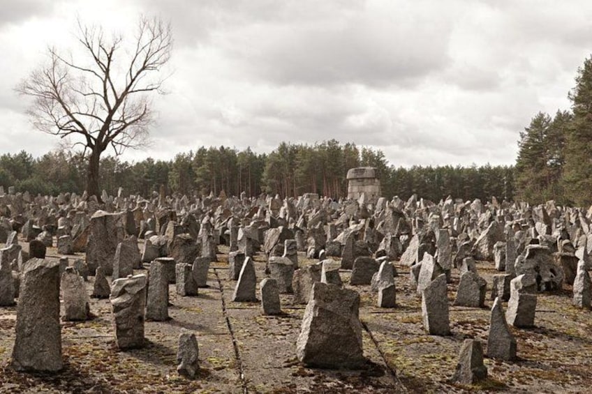 Ein Friedhof mit vielen aufrecht stehenden Grabsteinen, einem kahl stehenden Baum und einem Gebäude in der Ferne. 1