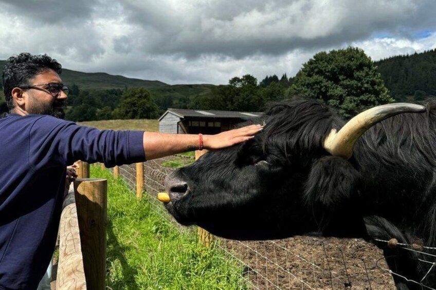 Glasgow: Loch Lomond, the Trossachs and Stirling Castle 3