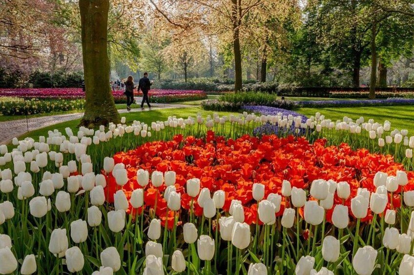 Amsterdam: Keukenhof, Zaanse Schans Windmills, Cheese Guided Tour 3