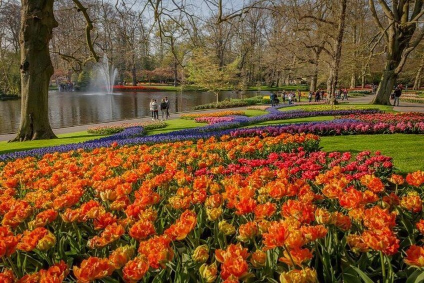 Amsterdam: Keukenhof, Zaanse Schans Windmills, Cheese Guided Tour 3