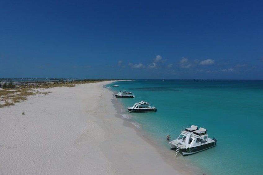 4hr Group Half Day Snorkel Excursion in Grace Bay, Providenciales 2