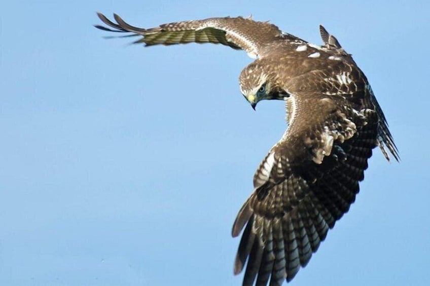 Full-Day Tour of Cayo Levantado and Los Haitises National Park 2