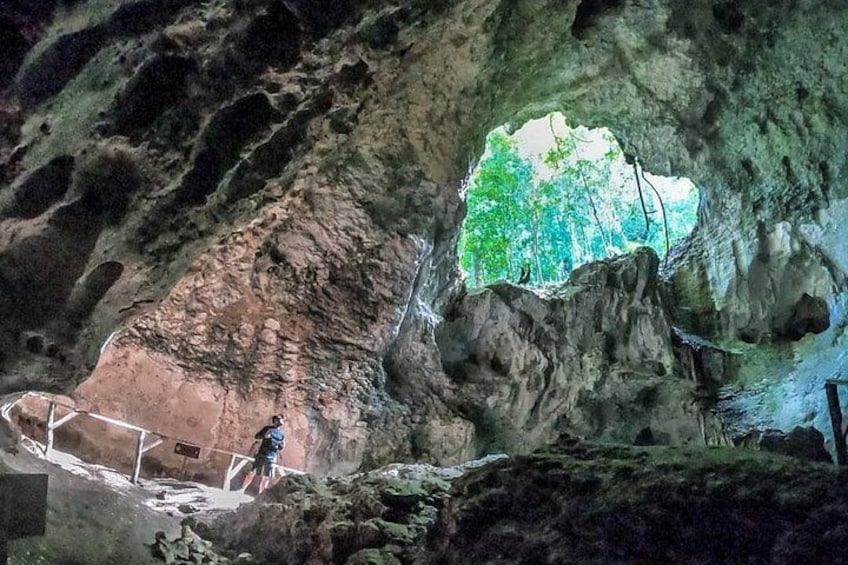 Full-Day Tour of Cayo Levantado and Los Haitises National Park 3