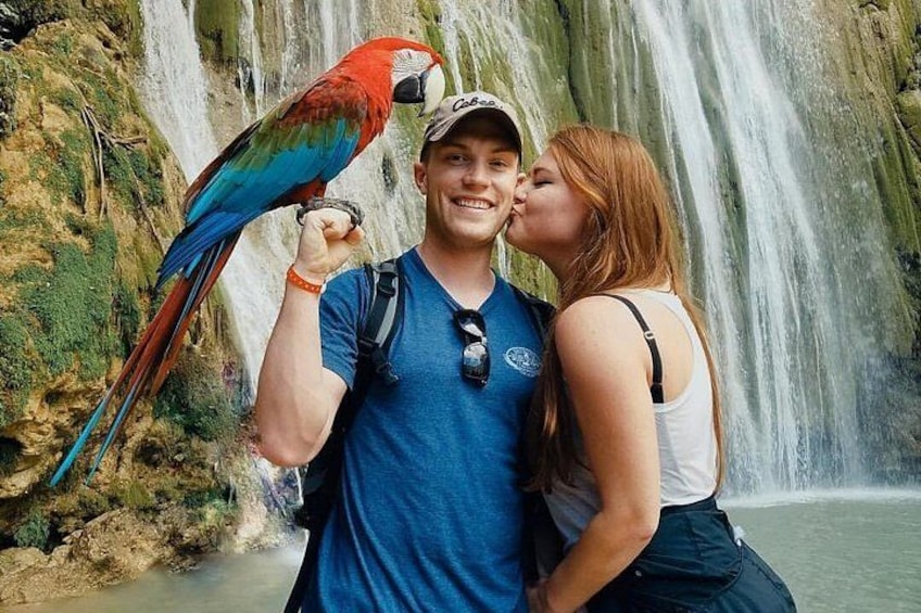 Une cascade, une personne tenant un perroquet et une personne en train d'embrasser quelqu'un. 1