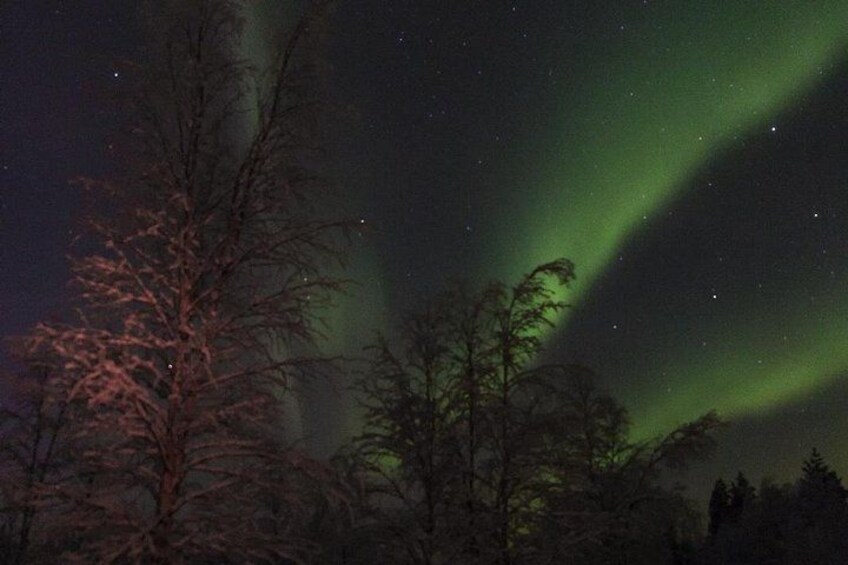 A night sky with the aurora borealis, trees, and a silhouette of a mountain range. 1