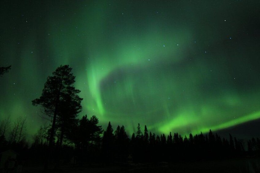 The Northern Lights over a forested landscape. 2