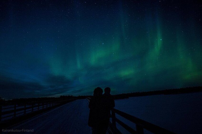 A night scene with the Northern Lights over a frozen landscape. 3