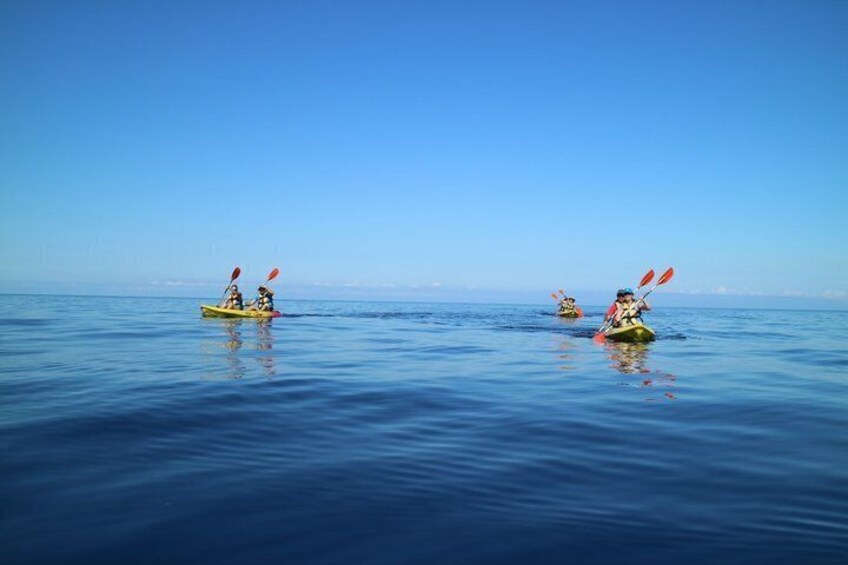 Kayak Discovery 3