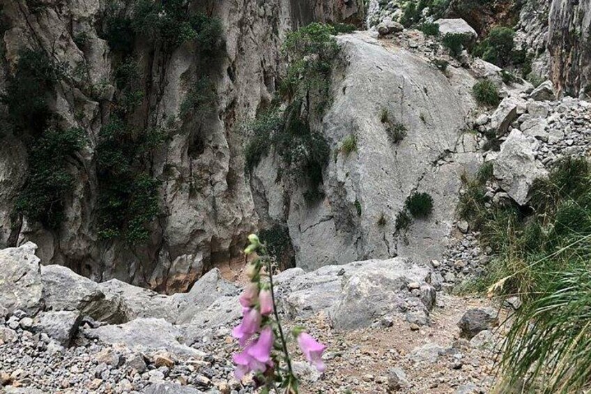 Trekking Torrent de Pareis 1