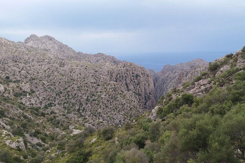 Trekking Torrent de Pareis 2