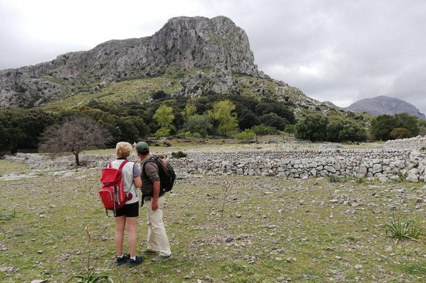 Hiking Private Tour in Pollensa 1