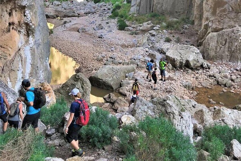 Hiking Private Tour in Pollensa 3