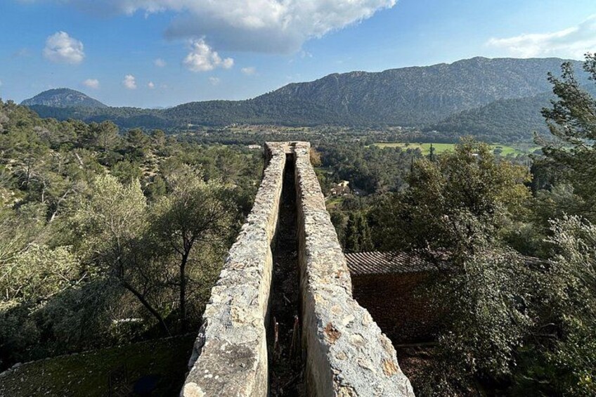 Hiking Private Tour in Pollensa 4