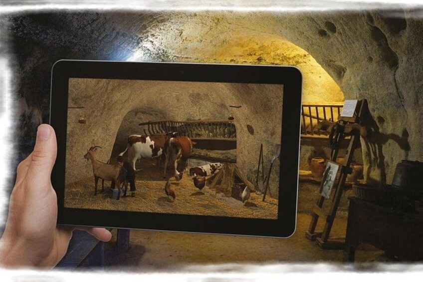 Cave Museum Village Troglodyte of Rochemenier Admission Ticket 2