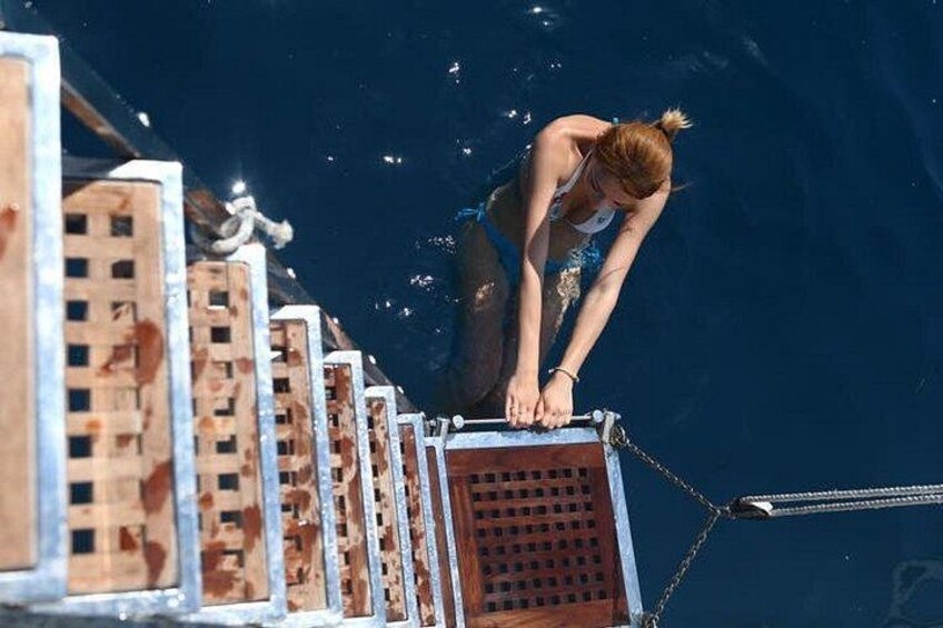 A person diving into a pool with buildings in the background. 5
