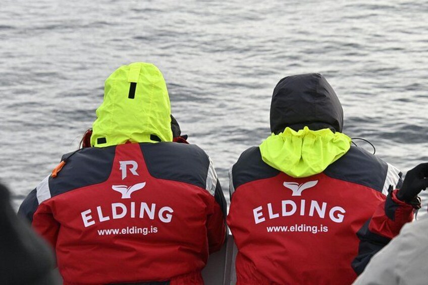 Dos personas con chaquetas rojas que llevan la palabra 'ELDING' y una dirección web en la parte trasera. 3
