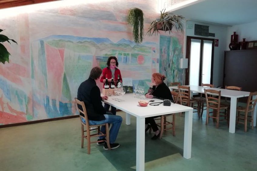 Day trip in the Prosecco land - Wine Tour and Tasting 3