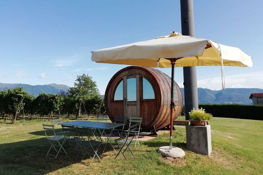 From Venice: day trip to the Prosecco hills with wine tasting 2