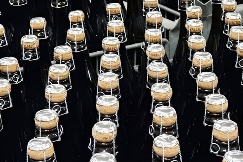 Day trip in the Prosecco land - Wine Tour and Tasting 5