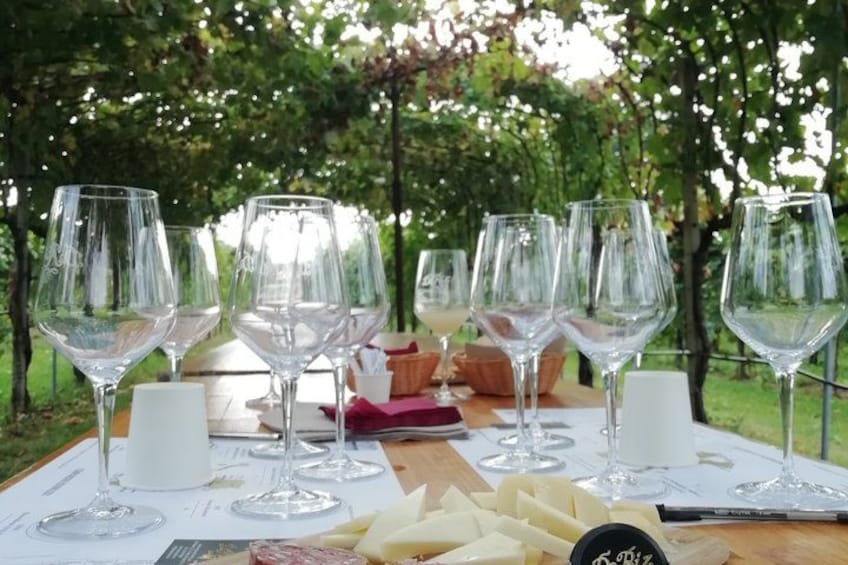 Day trip in the Prosecco land - Wine Tour and Tasting 2