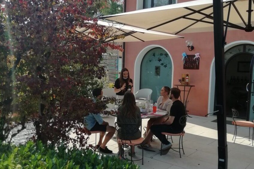 Day trip in the Prosecco land - Wine Tour and Tasting 4