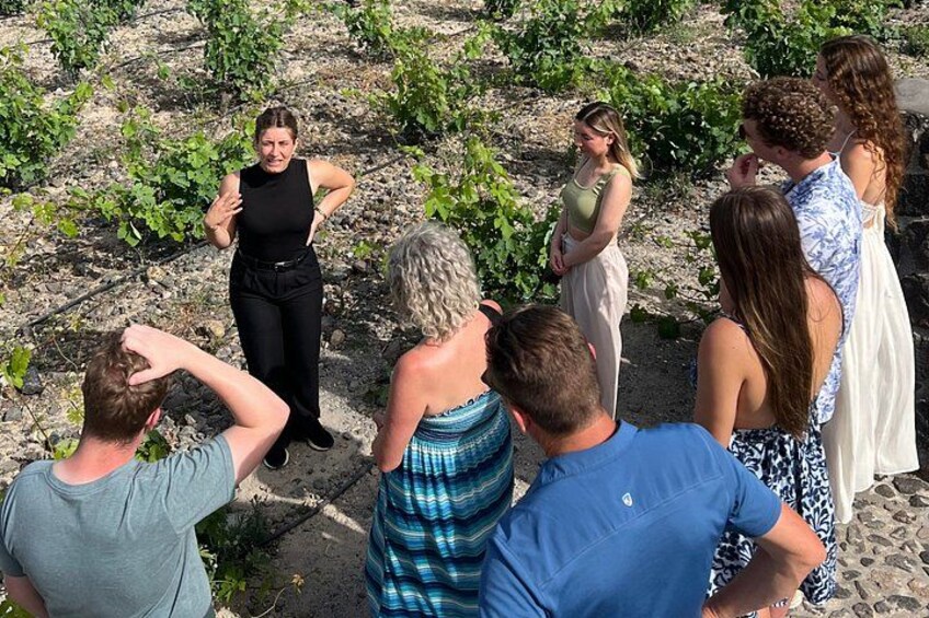 Un grupo de personas están de pie al aire libre, algunas mirando a una mujer que parece estar hablándoles. 4