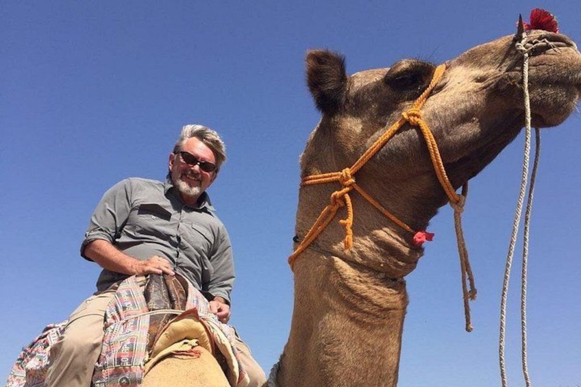 A man riding a camel with a harness and a red flower on its head. 1