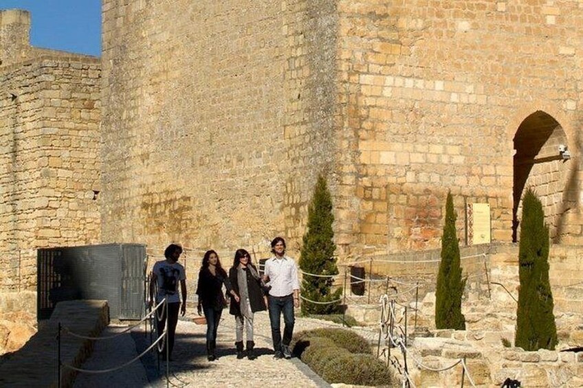 Skip the Line: Fortaleza de la Mota Admission Ticket 2
