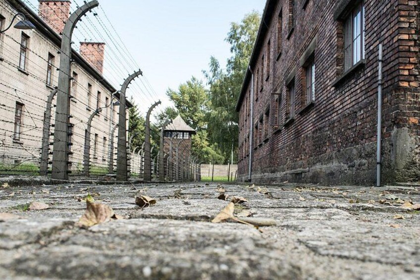 A brick building with barbed wire, a concrete ground with scattered leaves, and a small structure in the distance. 5