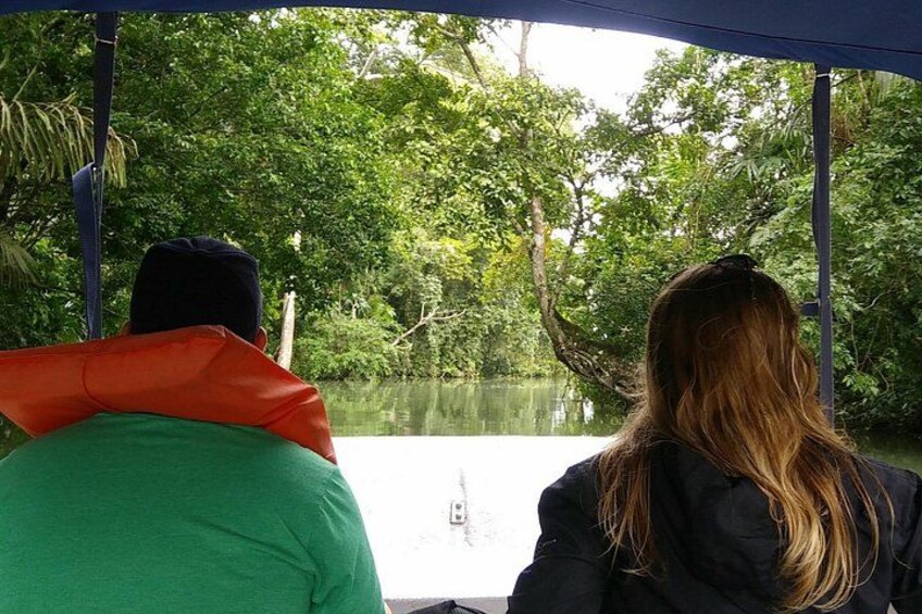 Two people on a boat with a canopy, surrounded by dense greenery and a calm body of water. 2