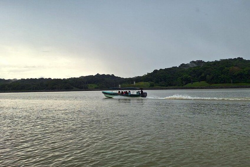 Boat tour on Gatun Lake in the Panama Canal 2