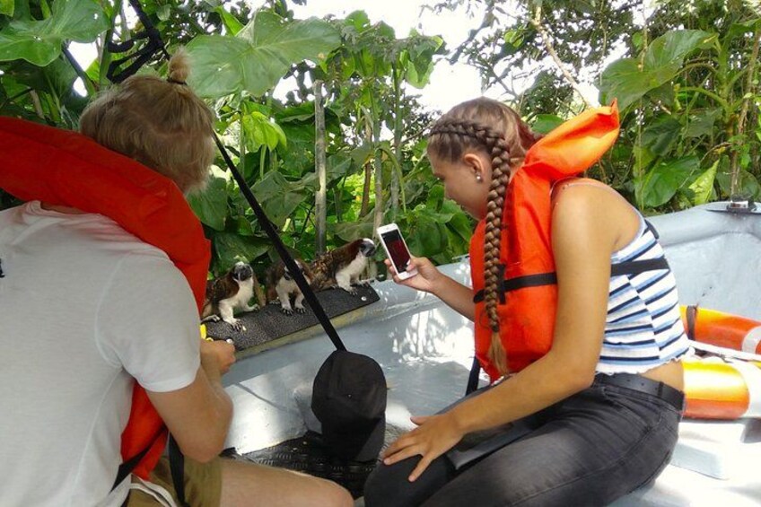 Two people interacting with lemurs on a platform surrounded by lush greenery. 3