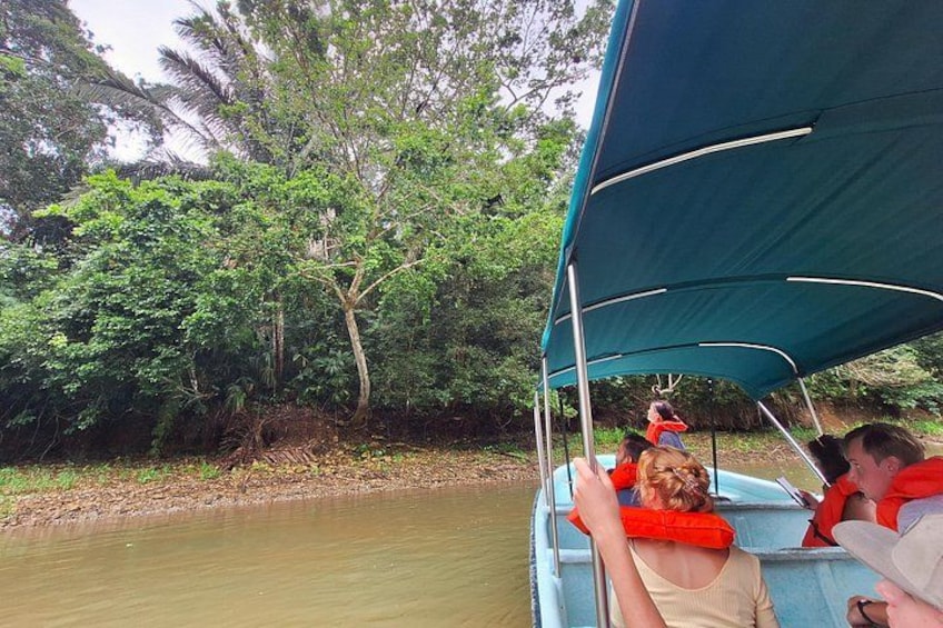 A boat with people wearing life jackets on a river surrounded by dense greenery. 3