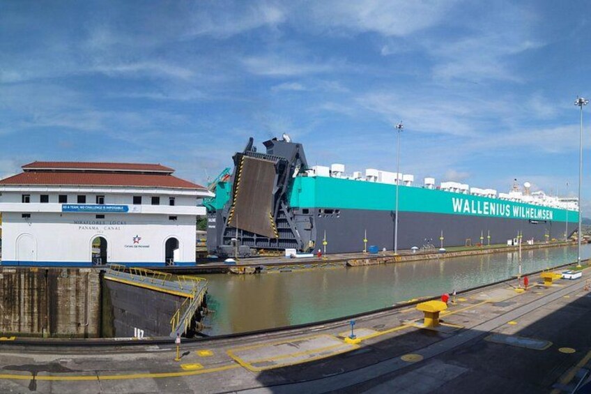 A large cargo ship named WALLENIUS WILHELMSEIN at a dock. 1