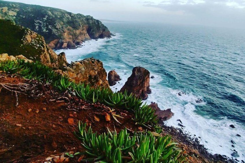 Paisaje costero con acantilados rocosos y vegetación verde. 5