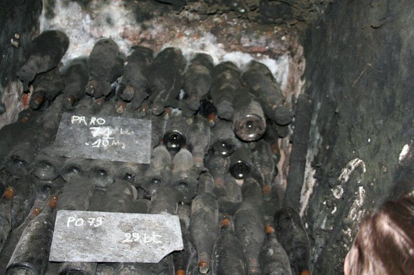 Wine cellar 2