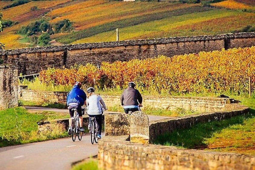 full Burgundy bike tour 2