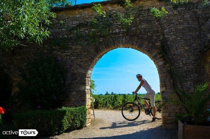 Guided Cycling vacation in France