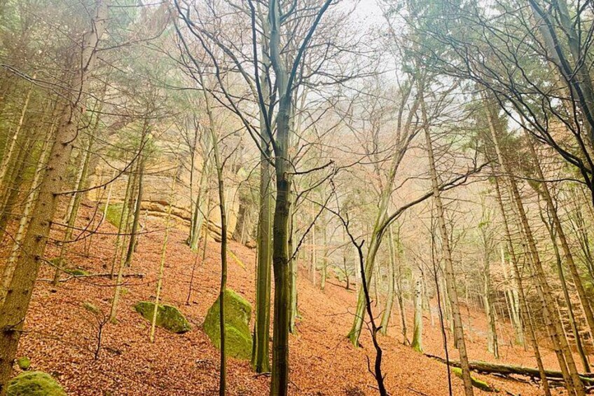 Bohemian and Saxon Switzerland Day Trip from Prague 3