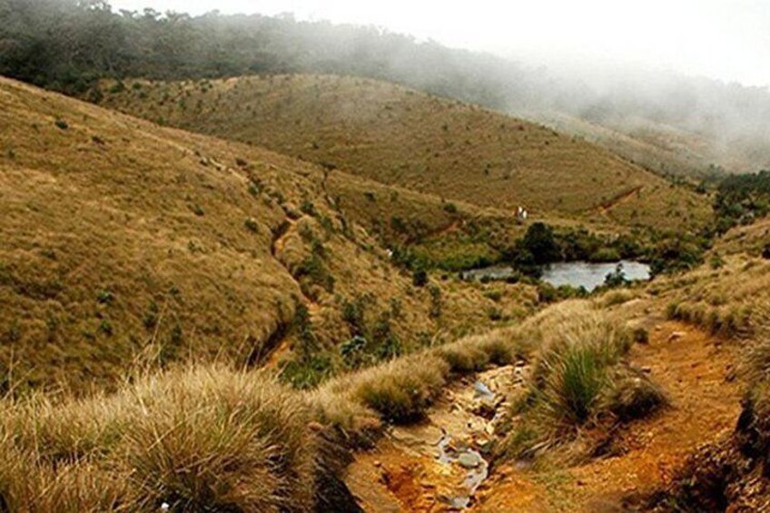 Hortain Plains Nuwaraeliya