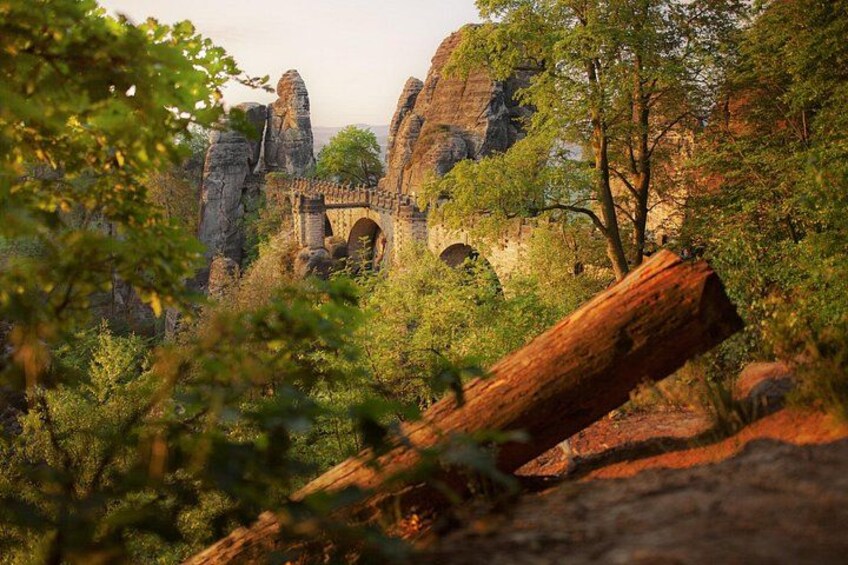 Bohemian & Saxon Switzerland From Prague-Travelers' Choice 2026 2