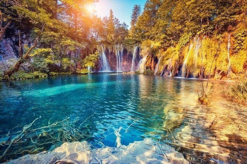 Un lago azzurro e limpido circondato da alberi, con la luce del sole che filtra tra i rami. 4
