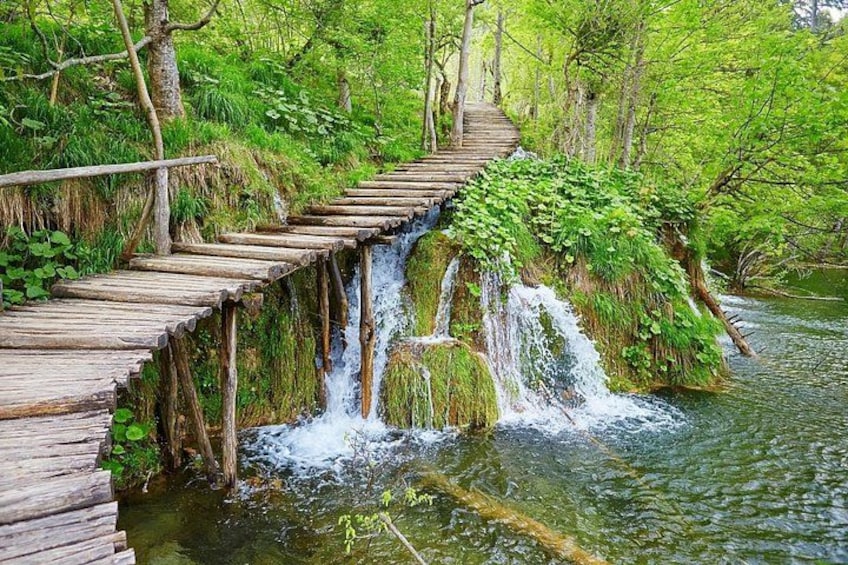 Un ponte di legno sopra una cascata, immerso nel verde. 2